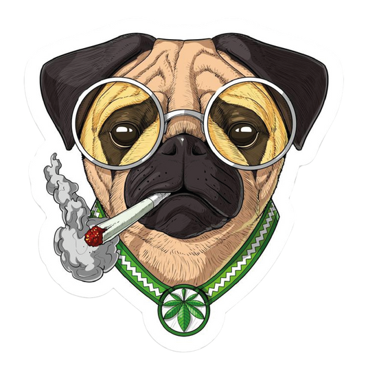 Stoner Pug Sticker
