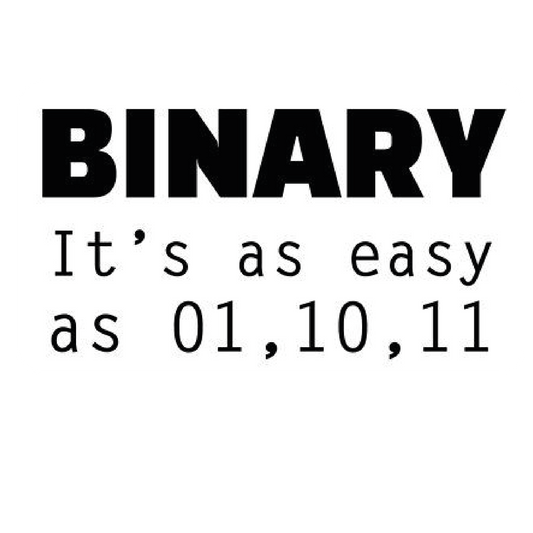 BINARY Sticker